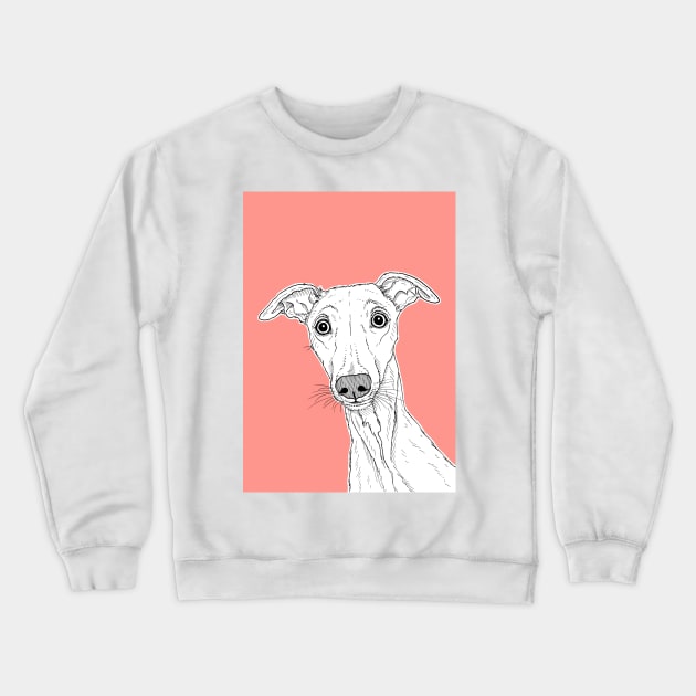 Whippet Dog Portrait ( coral background ) Crewneck Sweatshirt by AdamRegester